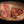Load image into Gallery viewer, Bacon Wrapped Tenderloin, AAA+ (10 lb)
