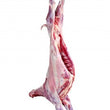 Load image into Gallery viewer, Milk Fed Goat/ Cabrito (+/- 5kg)
