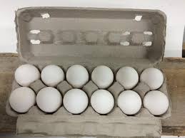 Large White Eggs, (12 eggs)