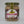 Load image into Gallery viewer, Culinary Condiments and Pastes -Macarico- (200ml)
