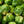 Load image into Gallery viewer, Brussel sprouts

