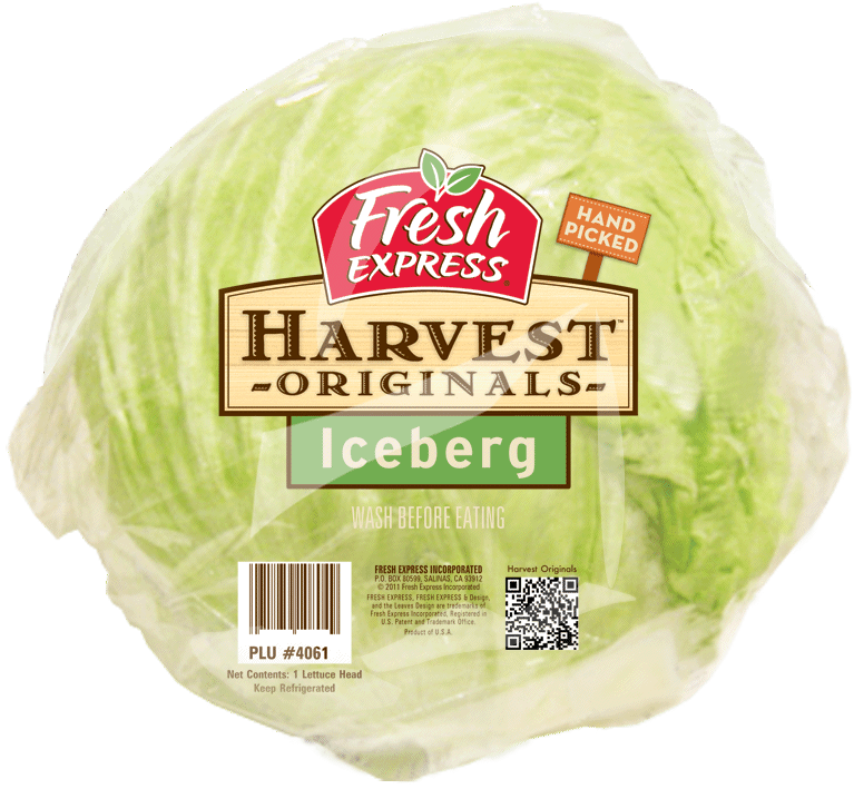 iceberg-lettuce-head