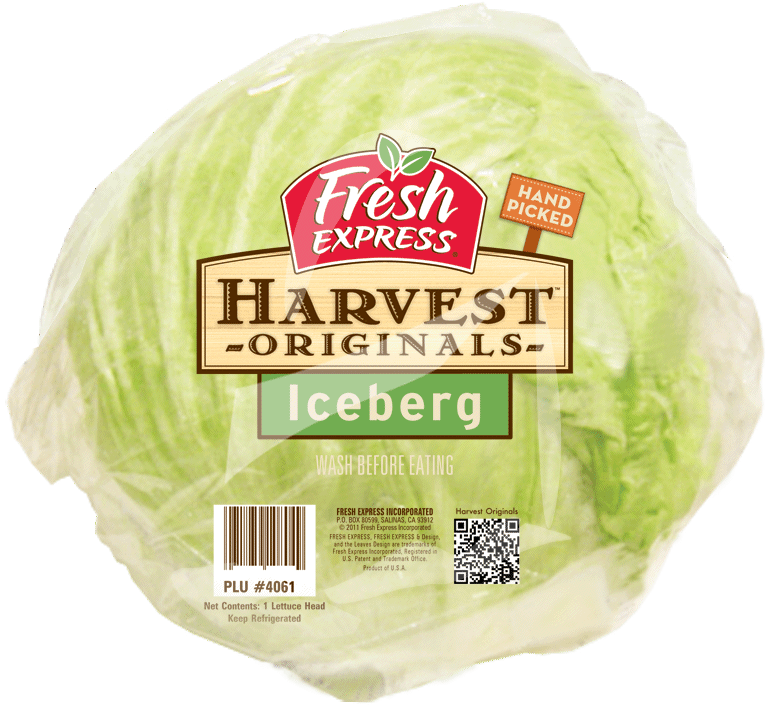 Head Lettuce iceberg -Fresh Express-